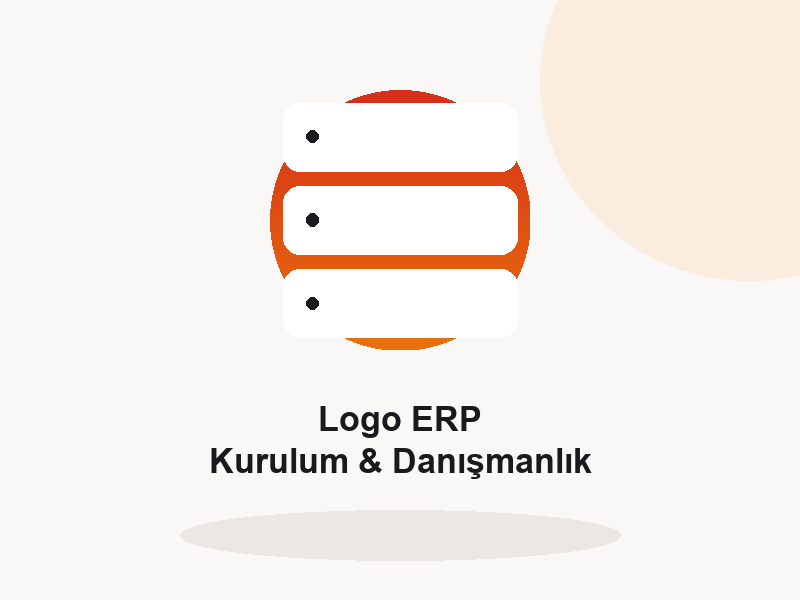 Logo ERP Kurulum ve Danismanlik